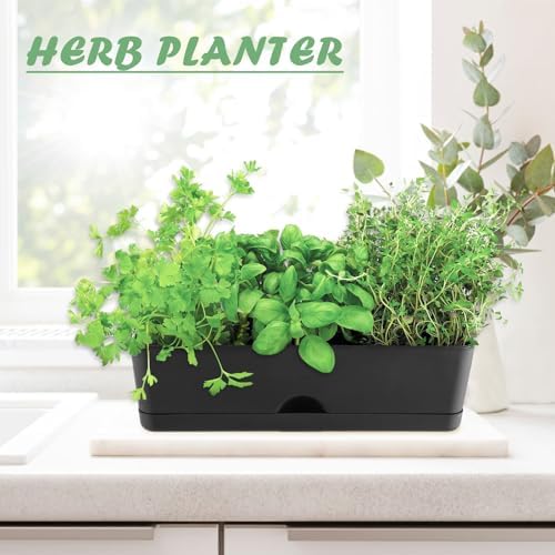 6-Pack Window Boxes Planters 16 Inch Rectangle Plant Box Rectangular Planters for Outdoor and Indoor Plants Plastic Windowsill Planter for Herbs Vegetable Flowers Long Window Sill Planters