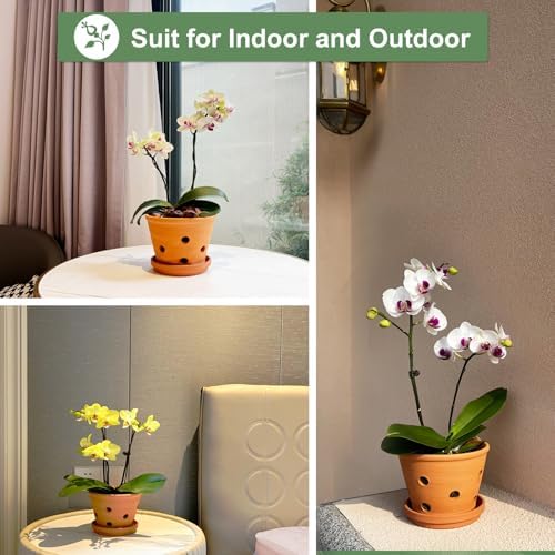 8 inch Terracotta Orchid Pots with Holes and Saucers, 2 Pack Clay Orchid Planter Pots for Repotting, Large Terra Cotta Orchid Pot, Plant Flower Pots for Orchid Indoor Outdoor Promotes Air Circulation
