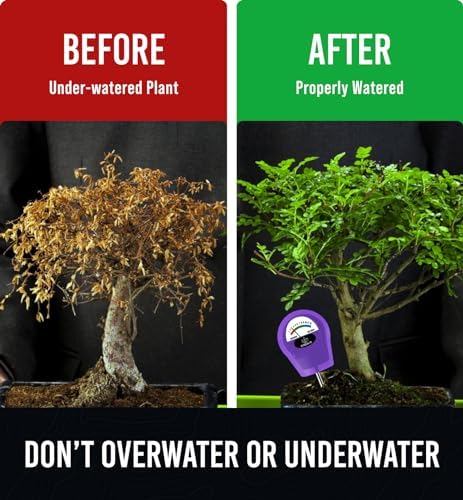 Soil Water Monitor for Plants - Soil Moisture Meter | Hydrometer for Plants | Plant Moisture Meter Houseplants | Water Tester for Plants | Farming Indoor and Outdoor Plants-Purple