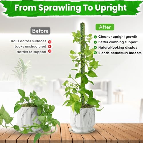 DUSPRO 42" Mesh Moss Pole for Climbing Plants, Pre-Made & Easy to Set Up