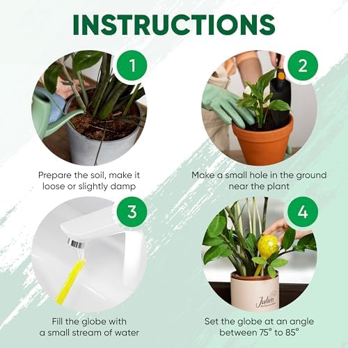 Plant Watering Globes Set of 6, Large - Glass Self Watering Globes