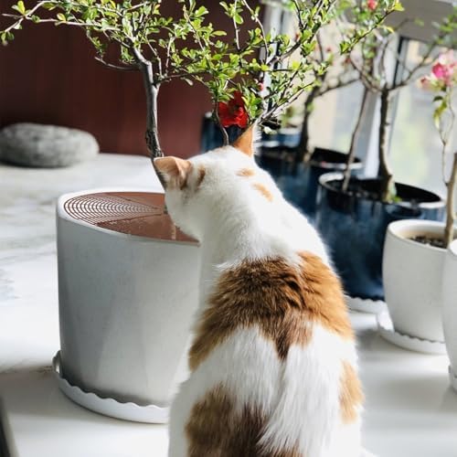 3 Packs 20.8 Inch Soil Protector Covers, Plant Pot Grid Cover Protectors from Animals, Cuttable Flower Pot Grid with 12 Stakes, Keep Cats Out of Potted Plants