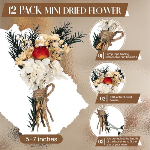 Layhit 12 Pcs Mini Dried Flower Bouquet Boho for Wedding,Colorful