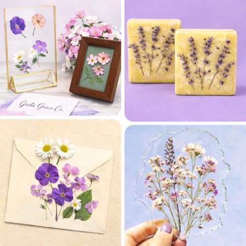Extra Large Flower Press Kit 11x11 - Wooden Kit with Tools for Adults, Kids