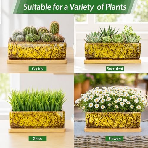 Succulent Pots, 7'' Large Long Rectangle Planters with Drainage Tray