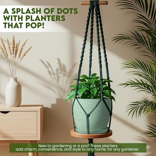 Plant Pots Indoor with Drainage 10 Pack Multi-Size Planters Set Spotty Mint