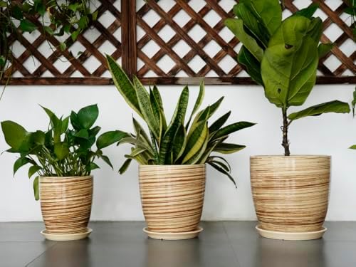 10 Inch Plant Pot Ceramic Pots for Plants with Drainage Hole and Saucer Round Flower Pot for Home Patio Garden Office Yellow