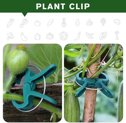 Plant Clips for Climbing Plants, Garden Support for Tomatoes & Vine