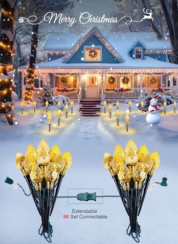 2 Pack Strawberry C9 Christmas Pathway Lights Outdoor, Total 34.8FT 20 LED