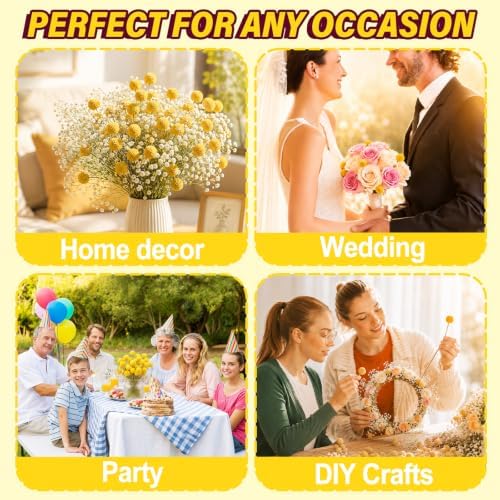 30PCS Dried Billy Balls Flowers for Flower Arrangements & Wedding Decor