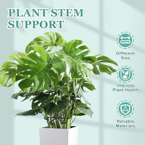 16pcs Plant Stem Support, Monstera Plant Support for Indoor Plants
