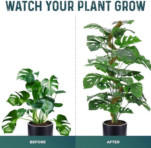 2pcs 42'' Real Forest Moss Pole Monstera Plant Support -Moisture Retaining