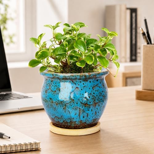 Plant Pots, 4.5 Inch Ceramic Pots for Plant with Drainage, Succulent Pots