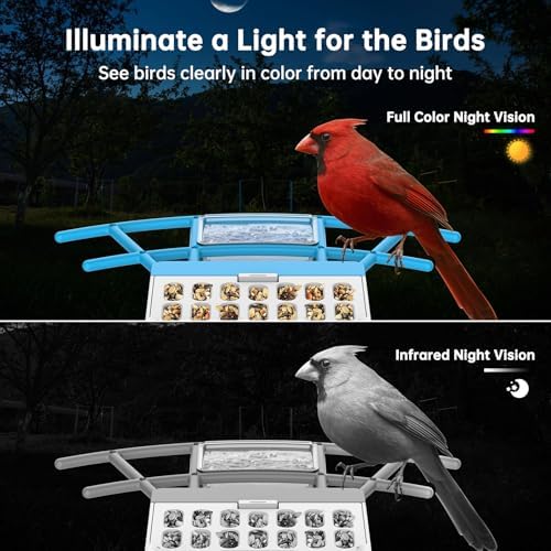 SMONET Bird Feeder with Camera B300: Smart Birdhouse Camera AI Recognition Solar Powered,Outdoor Wireless WiFi Birdfeeder Watching Live Video,Funny Birthday Gifts for Mom Mother Grandma Daughter