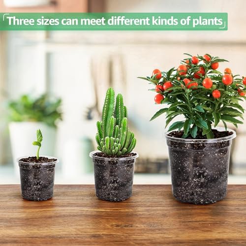 Bluepro Clear Nursery Pots with Drainage Holes, 3.5/4/5 Inch, 36-Pack