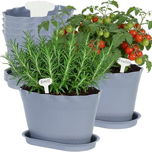 Oliz Herb Planter Pots 6 Pcs, Window Box Planter Flower Plants Pots for Succulent Cactus Flower with Trays, for Home Garden Kitchen Decor (Grey)