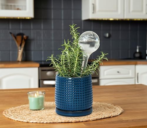 D'vine Dev Beaded Ceramic Pot with Saucer, 6 in, Midnight Blue, 27-C-X-3