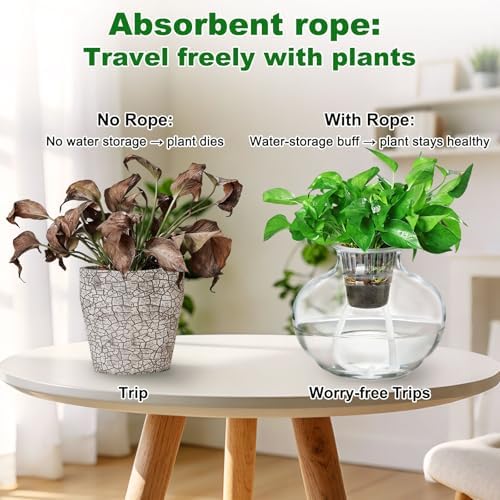 M METERXITY 1-Pack 32.8 Feet Self Watering Wick Cord, 1/5 Inch Cotton Rope Self Wicking Rope for Potted Plants/Flower Pots/Seedlings, Water Wicks for Plants [White]
