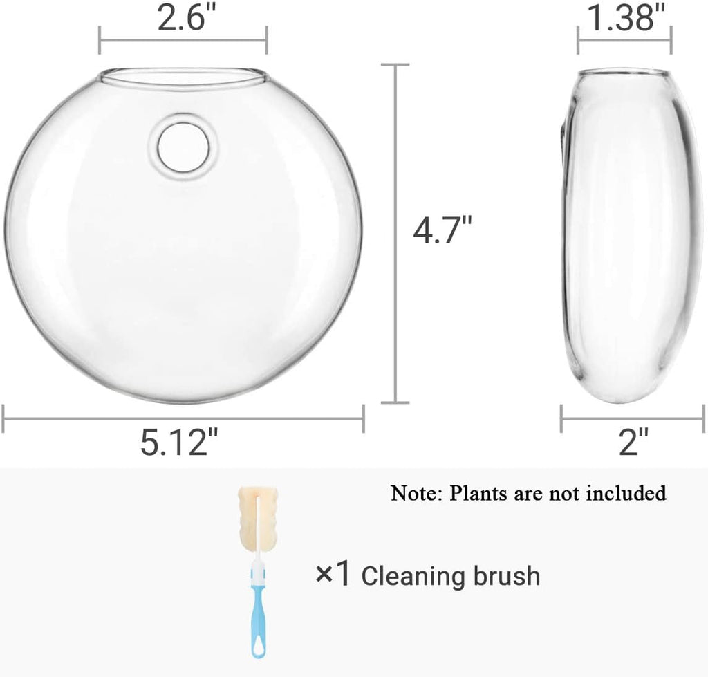 Mkono Wall Propagation Planters, 3 Pack Oblate Hanging Plant Holder Vase | Glass Terrariums Station, Hydroponic Indoor