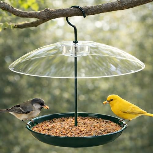 Gtongoko Platform Bird Feeder for Outdoors Hanging with 12" Dome&Metal Tray