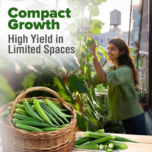 HOME GROWN Clemson Spineless Okra Seeds, 101+ Seeds, Abelmoschus esculentus