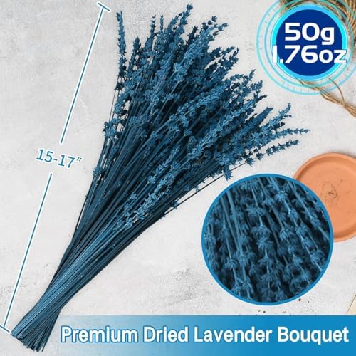 Glicrili Dried Lavender Flowers Real Stems Blue Bouquet for Vase Decor