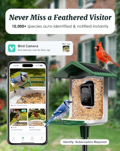 Smart Bird Feeder with Camera Solar Powered 2K Video AI Identify 32GB Card