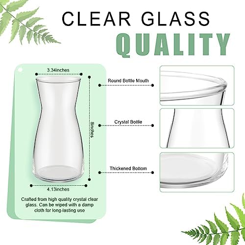 Thenshop 6 Pcs 8'' Tall Clear Glass Flower Vase for Bouquet, Clear