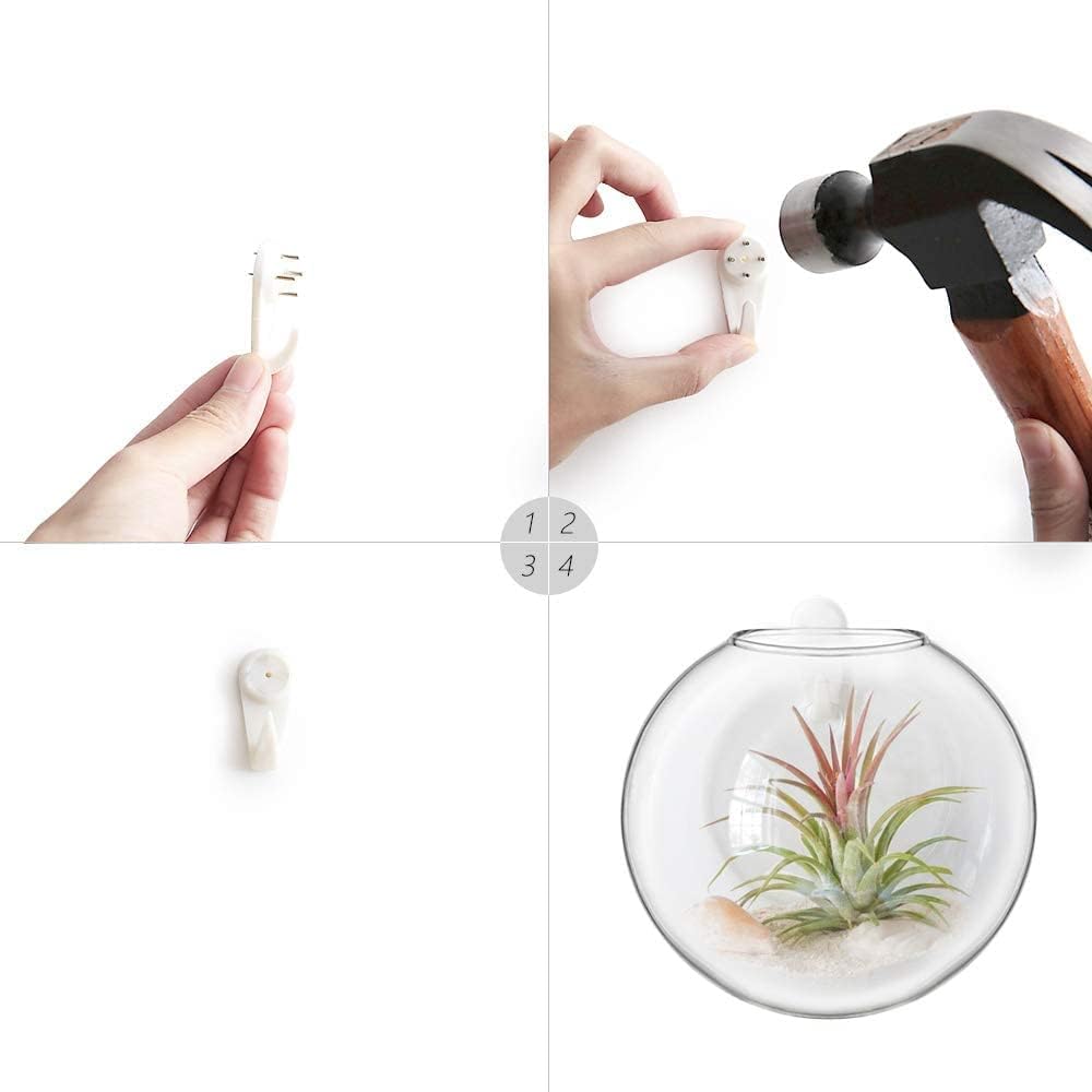 Mkono Wall Propagation Planters, 4 Pack Glass Hanging Vase Plant Holder | Varied Shapes Terrarium,Clear Root View