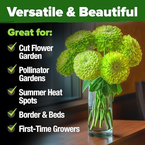 HOME GROWN Zinnia Seeds, Envy, 500 Seeds, Zinnia elegans