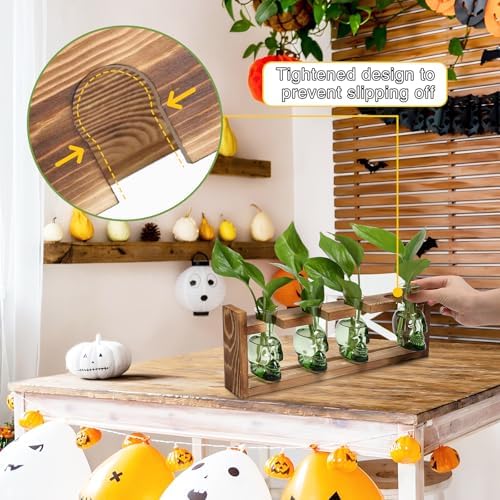 Plant Propagation Stations Halloween Skull Plant Terrarium Kit