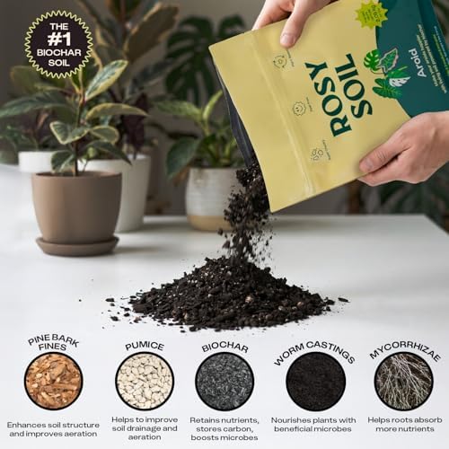 Rosy Soil Aroid Soil Mix, Chunky Biochar Potting Mix, 4 Quarts