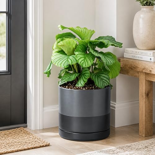 D'vine Dev 10 Inch Ceramic Planter Pot, Slate, 94-O-E-5