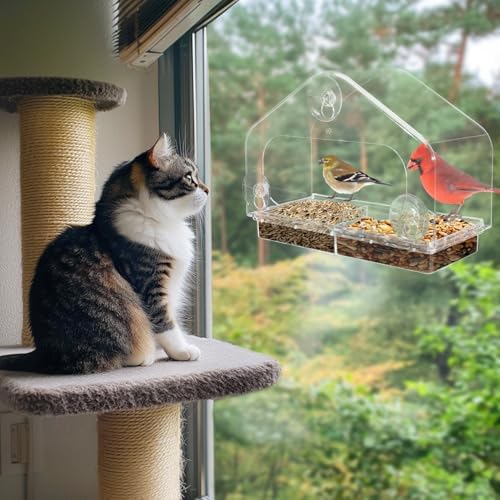MEWTOGO Outdoor Window Bird Feeder for Cats Viewing, Large