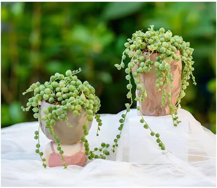 Small Fairy Head Planter, 3 Pack Succulent Pots, 4 Inches Girl Face Flower Pot Cute Resin Cactus Planters with Drainage
