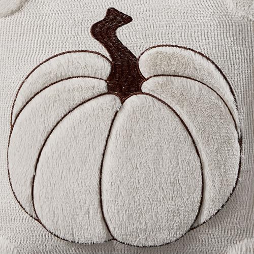 Allorry Fall Pillow Covers 22x22 2 Pack Cream White Pumpkin Home Decor 010E