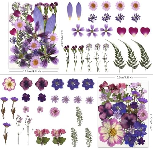LUXEEASE 100P Purple Dried Pressed Flowers