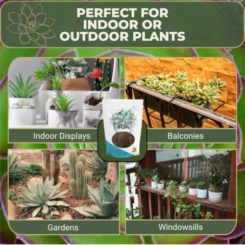 Professional Succulent Soil Mix Ready to Use Extra Large 8.2 Quarts, Premium Potting Soil for Succulents and Cactus, Fast Draining Blend Canadian Peat Coarse Sand Pinebark Indoor Made in USA