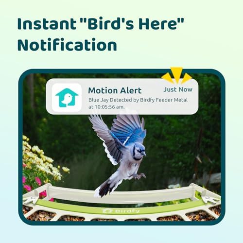 Birdfy Smart Bird Feeder with Camera Solar Powered, Premium Metal Design