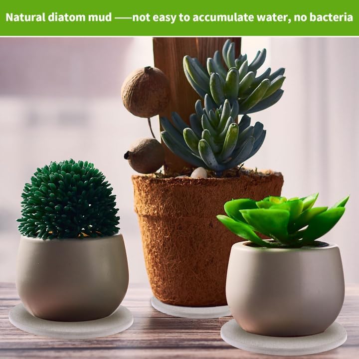 12Pcs Diatomaceous Earth Coaster 4/6/8inch Diatomite Plant Saucer Stone Plant Sourcer Instant Dry Water Absorbent