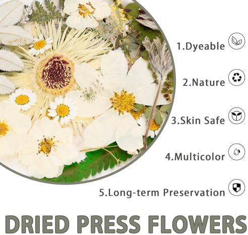 50Pcs Dried Pressed Flowers Real Pressed Flowers Natural Dry Leaves Bulk Mixed Colorful Herbs Kit with Tweezers for Scrapbooking DIY Candle Jewelry Crafts Making Nails (White)