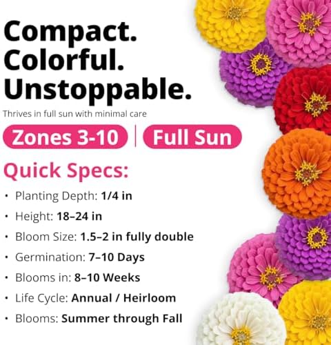 HOME GROWN Zinnia Seeds, Lilliput Mix, 600 Seeds, Zinnia elegans
