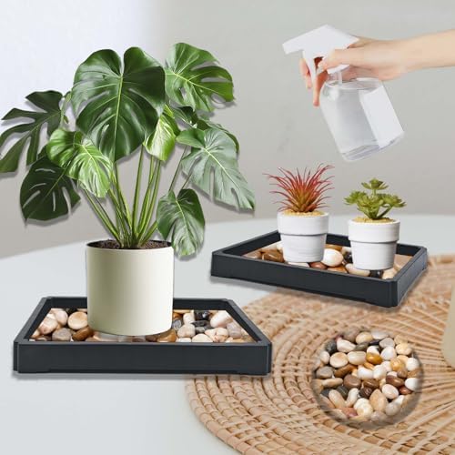 1PC Plant Saucer Tray 9 Inch, Rectangular Resin Drip Catcher