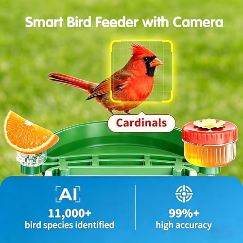 Bird Feeder with Camera, Upgraded Model, 4K UHD AI Bird Camera, Instant Arrival Alerts, Solar Powered, 5200mAh Rechargeable Battery, IP66 Waterproof Outdoor, Gift for Bird Lovers, Green