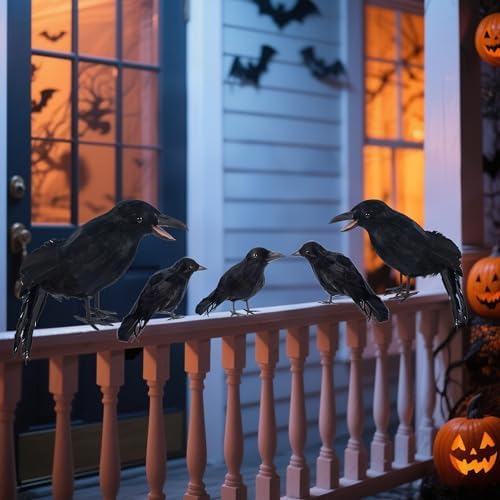 DR.DUDU 5 Pack Halloween Crows Decorations Fake Crow and Ravens