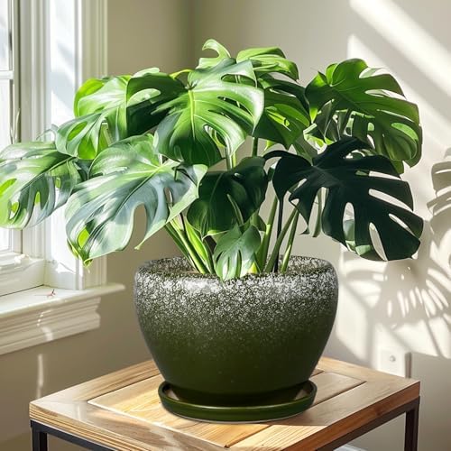 Ceramicfor 10 Inch Planter Pot, Ceramic Pots for Plants, Dark Green