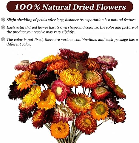 40 Pcs Dried Daisy Flower Bouquet, 17" Multicolor Fall Flowers, Vase Filler
