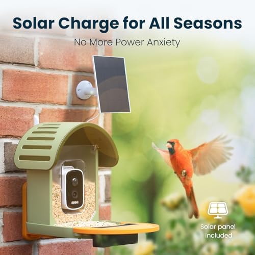 Smart Bird Feeder with Camera, Green