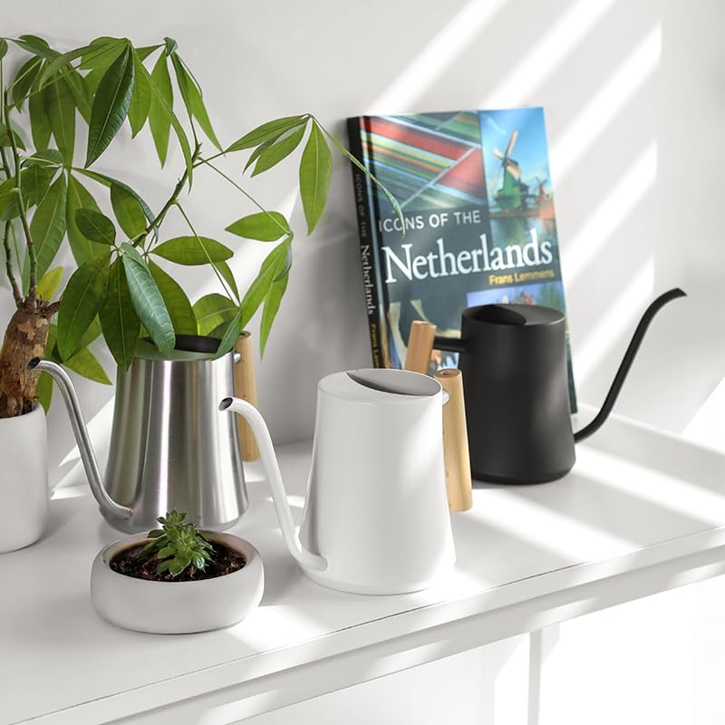 Small Watering Can Indoor Plants Metal Watering Cans 1L/34oz (White)