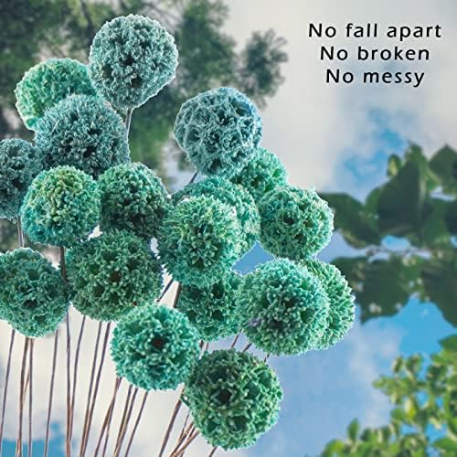 24 PCS Dried Craspedia Billy Balls Flowers, 18” Natural Dried Flowers Bouquet for Vase Floral Arrangements Wedding Table Centerpieces Party DIY Home Decor (Blue)